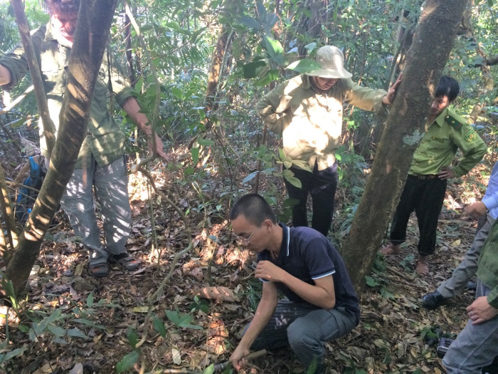 Nhóm nghiên cứu đi thực địa ở Khu Bảo tồn Sao La, tỉnh Thừa Thiện Huế. Ảnh: NVCC